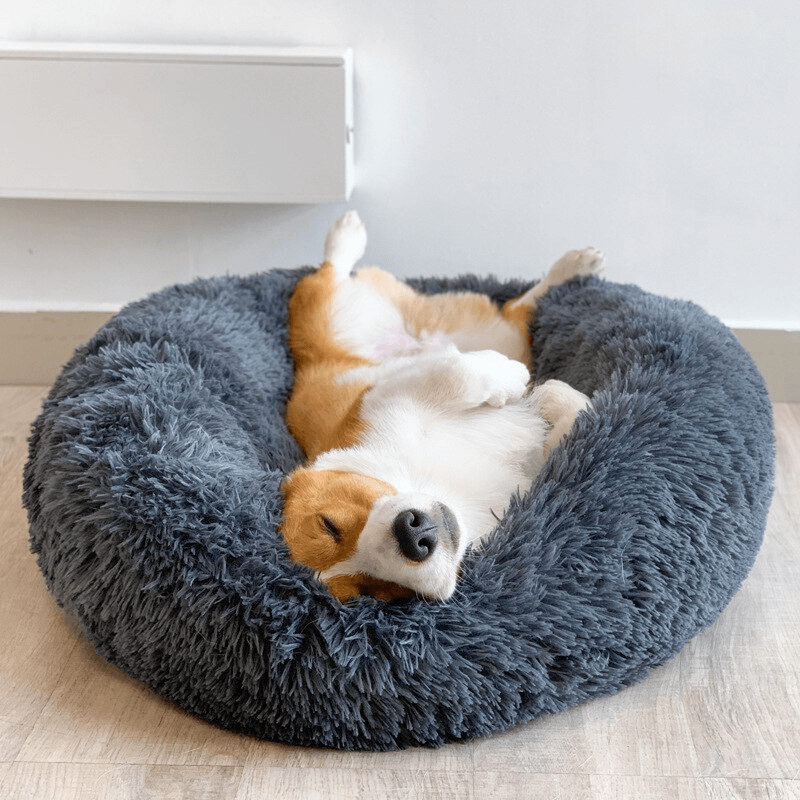 Cama Nuvem Pets Conforto - Lojas Promorin