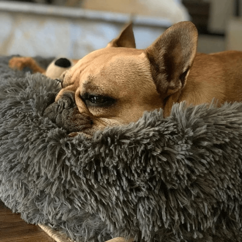 Cama Nuvem Pets Conforto - Lojas Promorin