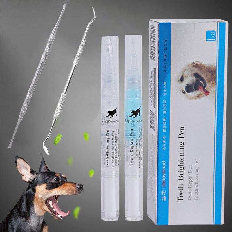Caneta limpadora de dentes Pet - Anti Tártaro e Bactérias - Lojas Promorin