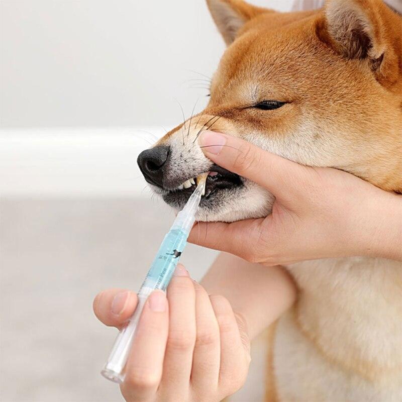 Caneta limpadora de dentes Pet - Anti Tártaro e Bactérias - Lojas Promorin