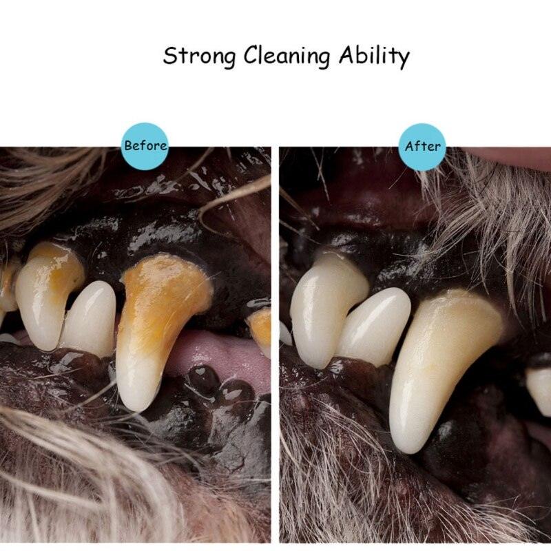 Caneta limpadora de dentes Pet - Anti Tártaro e Bactérias - Lojas Promorin