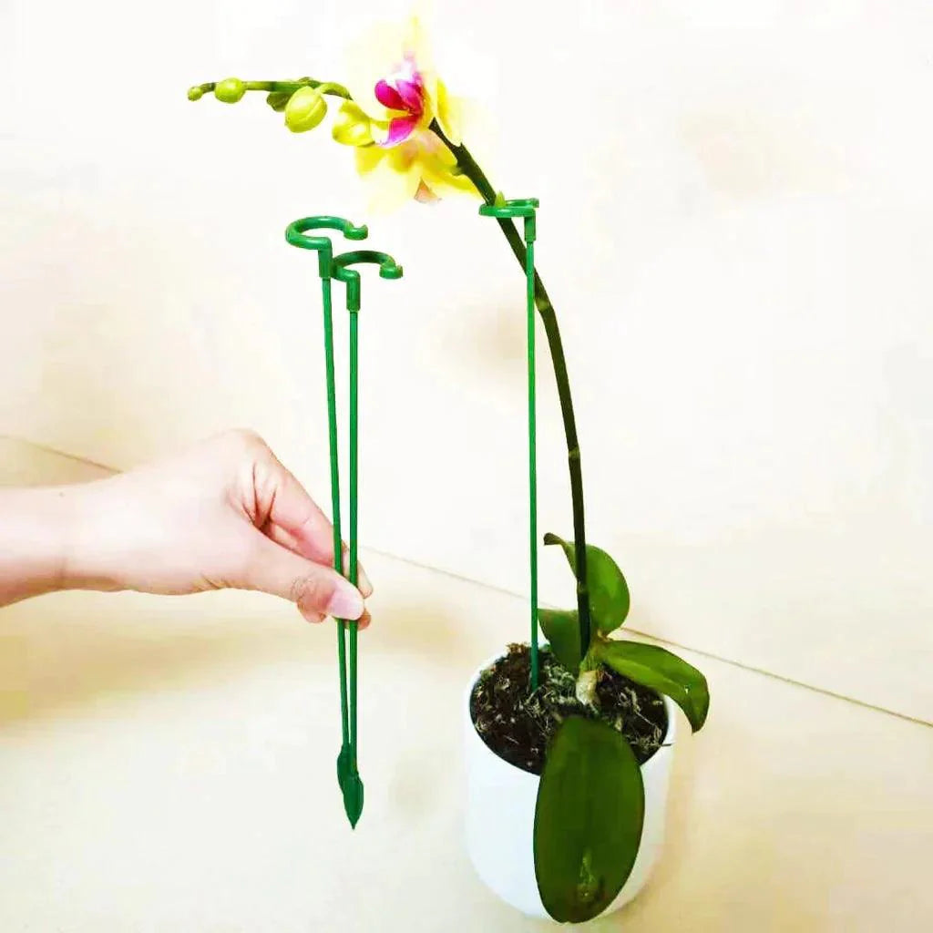 Suporte Inteligente para Plantas de Jardim - Lojas Promorin
